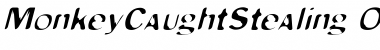 Download MonkeyCaughtStealing Oblique Font