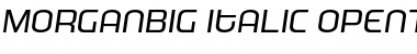 Download MorganBig Italic Font