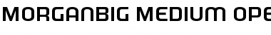 Download MorganBig Medium Font