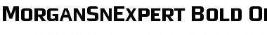 Download MorganSnExpert Bold Font