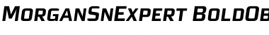 Download MorganSnExpert Bold Oblique Font