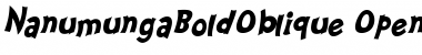 Nanumunga Bold Oblique Font