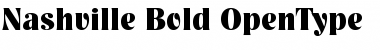 Download Nashville-Bold Regular Font Title Preview