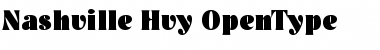 Download Nashville Hvy Font Title Preview