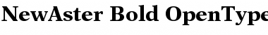Download New Aster Bold Font Title Preview