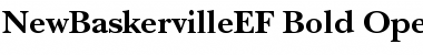 Download NewBaskervilleEF Bold Font