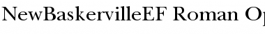 Download NewBaskervilleEF Roman Font
