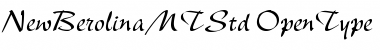Download New Berolina MT Std Regular Font Title Preview