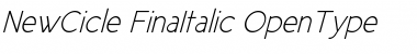 Download New Cicle Fina Italic Font