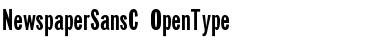 Download NewspaperSansC Regular Font Title Preview