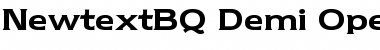Download Newtext BQ Regular Font
