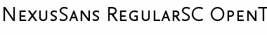 Download NexusSans Regular SC Font