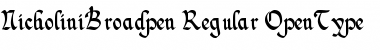 Download NicholiniBroadpen Regular Font Title Preview