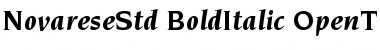 Download ITC Novarese Std Bold Italic Font