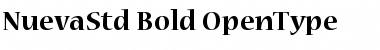 Download Nueva Std Bold Font Title Preview