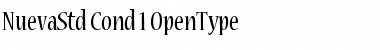 Download Nueva Std Condensed Font Title Preview