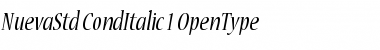 Download Nueva Std Condensed Italic Font Title Preview