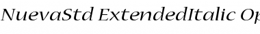 Download Nueva Std Extended Italic Font Title Preview