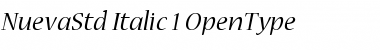 Download Nueva Std Italic Font Title Preview