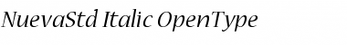 Download Nueva Std Italic Font Title Preview