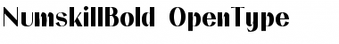 Download NumskillBold Regular Font Title Preview