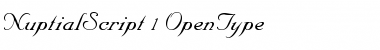 Download NuptialScript Regular Font Title Preview