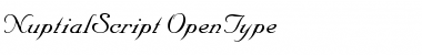 Download Nuptial Script Medium Font Title Preview
