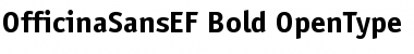 Download OfficinaSansEF Bold Font