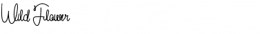 Download Wild Flower Bold Font Title Preview