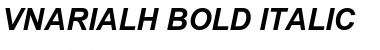 Download .VnArialH Bold Italic Font Title Preview