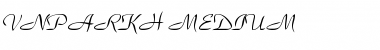 Download .VnParkH Medium Font Title Preview