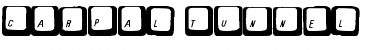 Download Carpal Tunnel Regular Font Title Preview