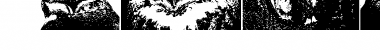 Download AParliamentofOwls Regular Font Title Preview