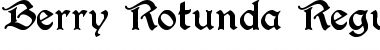 Download Berry Rotunda Regular Font Title Preview