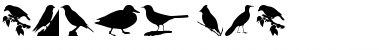 Download Birds TFB Regular Font Title Preview