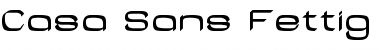 Download Casa Sans Fettig Bold Font Title Preview