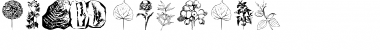 Download Botanicals Regular Font Title Preview