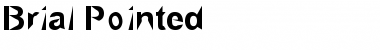 Download Brial Regular Font Title Preview