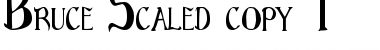 Download Bruce Regular Font Title Preview