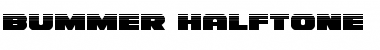 Download Bummer Halftone Regular Font Title Preview