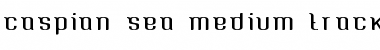 Download Caspian Sea Med Tracked Regular Font Title Preview