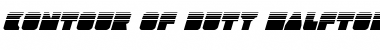 Download Contour of Duty Halftone Italic Italic Font Title Preview