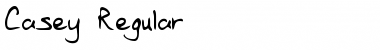 Download Casey Regular Font Title Preview