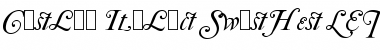 Download Caslon Italic Swashes LET Plain Font Title Preview