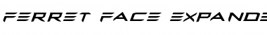 Download Ferret Face Expanded Italic Expanded Italic Font Title Preview