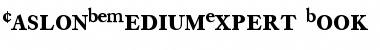 Download CaslonBEMediumExpert-Book Book Font Title Preview