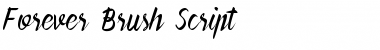 Download Forever Brush Script Regular Font Title Preview