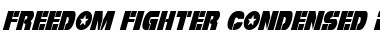Download Freedom Fighter Condensed Italic Condensed Italic Font Title Preview