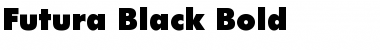 Download Futura-Black Bold Font