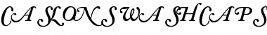 Download CaslonSwashCapsSSK Bold Italic Font Title Preview